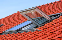 Halewood roof window